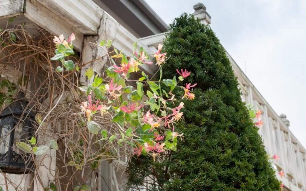 Фото Anseong Provence Pension