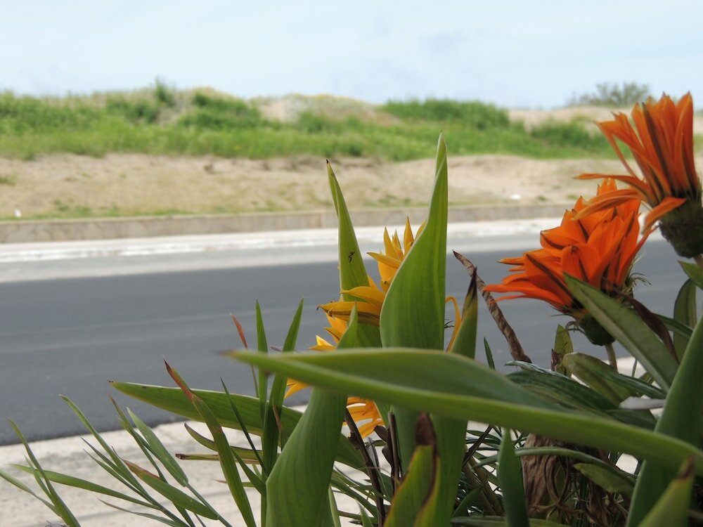 Фото Hotel Araucano