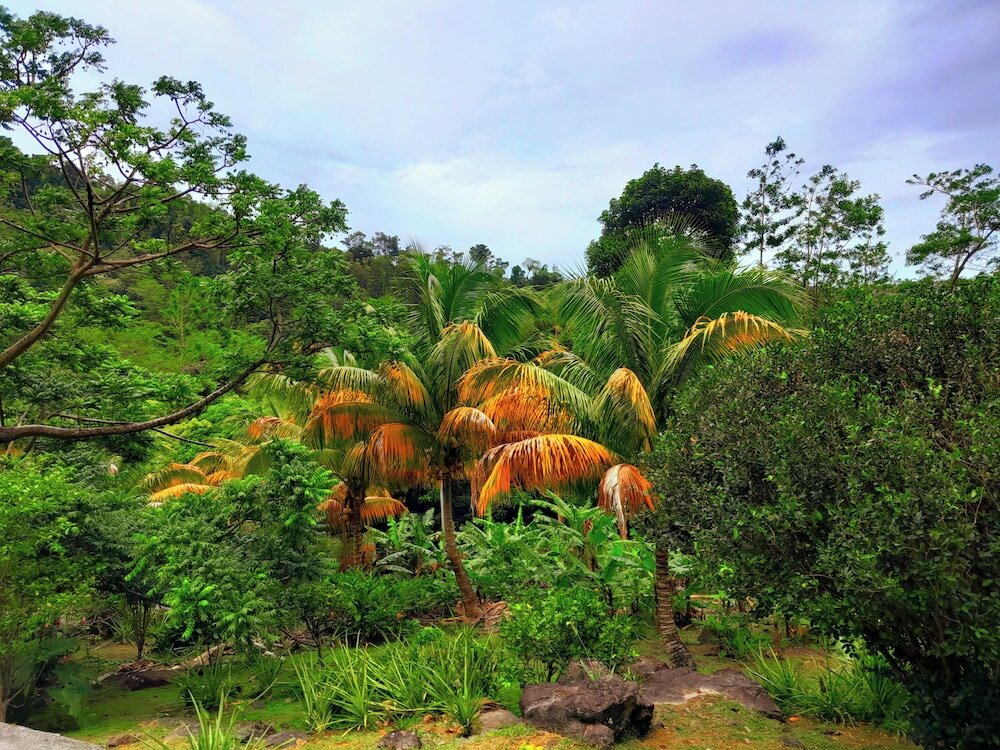 Фото Tranquility Suite Cottage 6