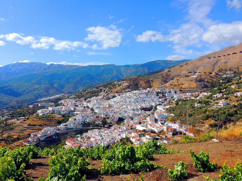 Фото Malaga Hills Double Comfort Boutique & Wellness Hotel -Adults Only