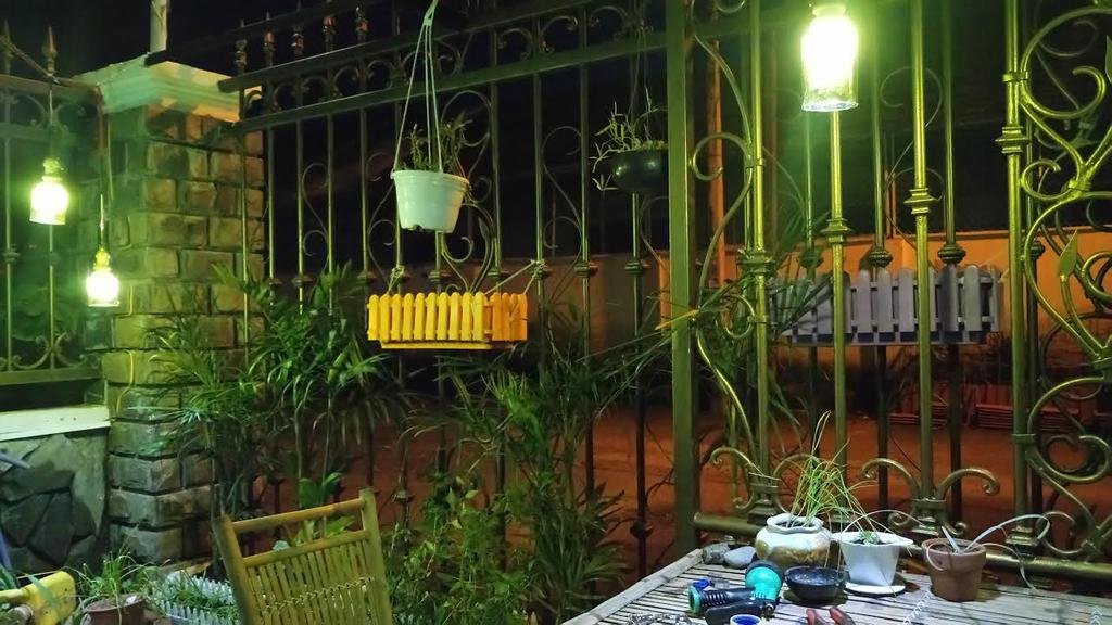 Фото Little Home Hostel