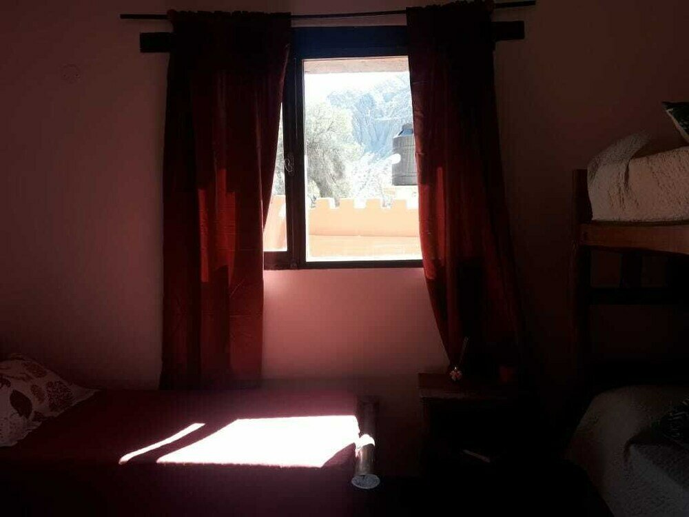 Фото Cactus Hotel