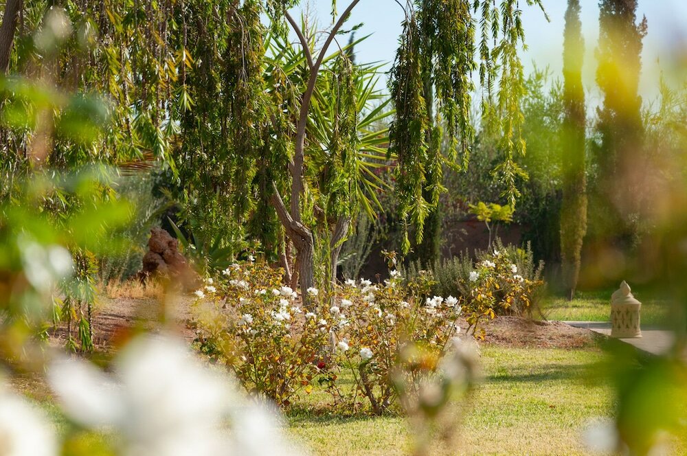 Фото Atlas Widan