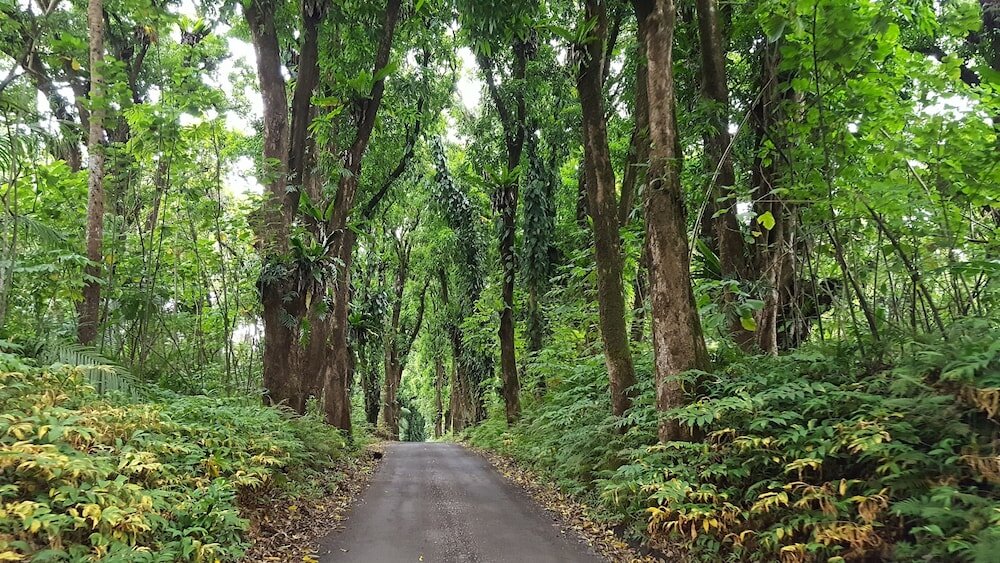 Фото Hale Ki'i Maka Manu 4 Bedroom Home by Redawning