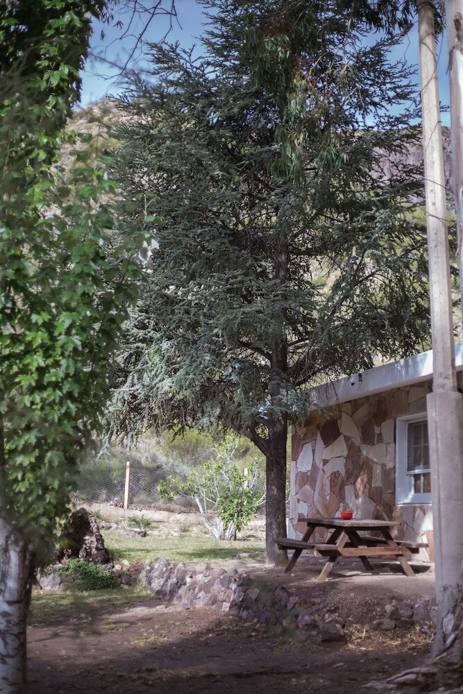 Фото Bosque Divino Cabañas & Suites