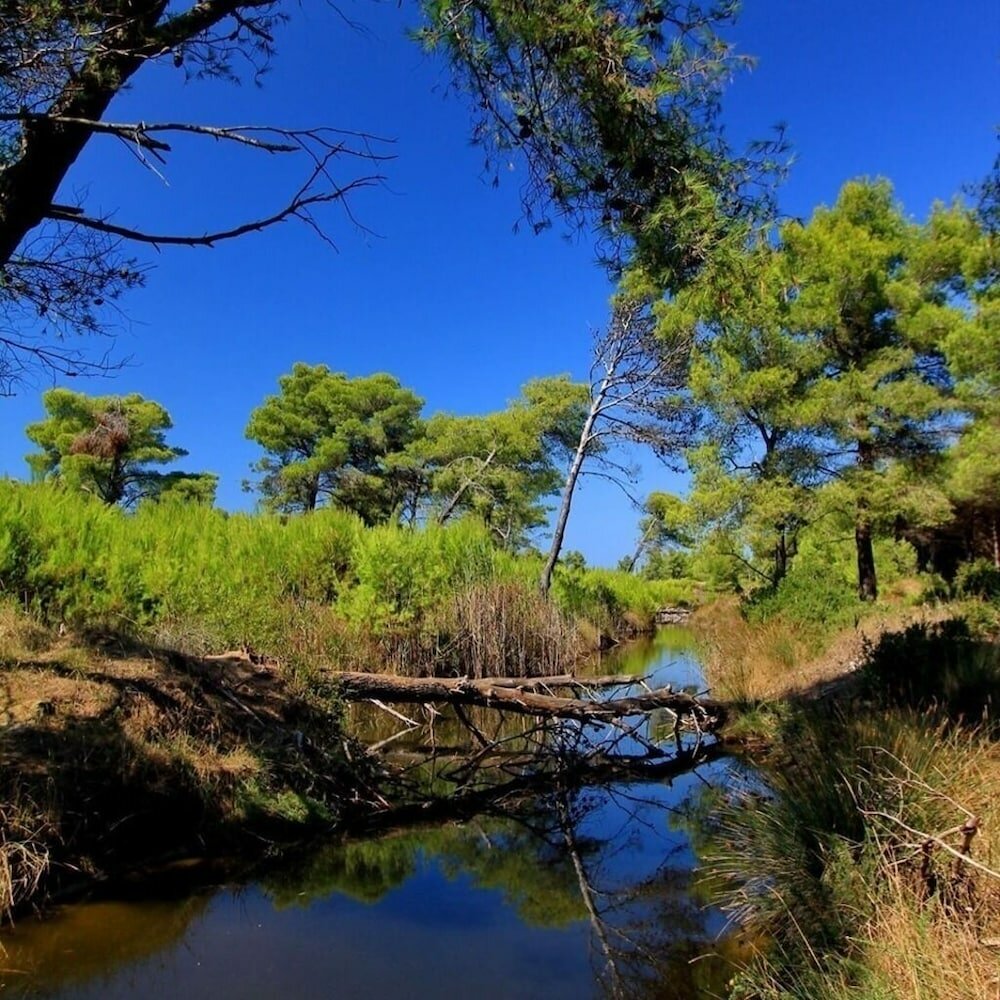 Фото Pasho's House
