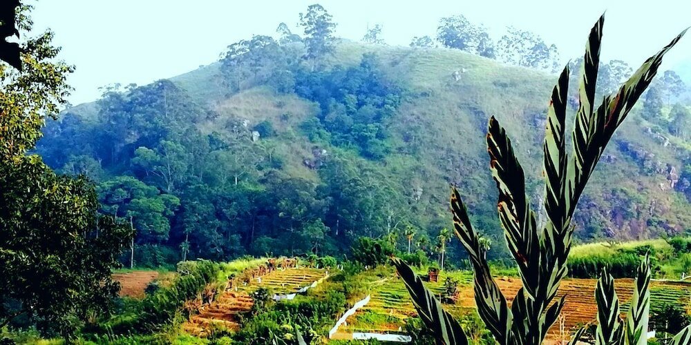 Фото Ella Farmer Village