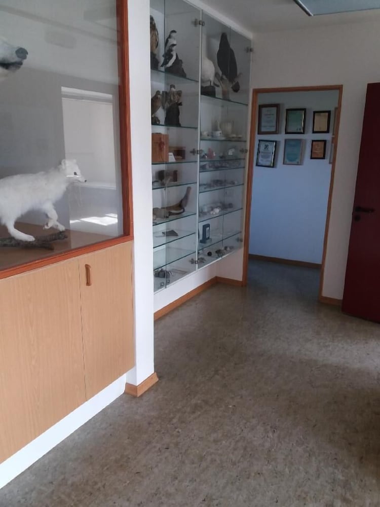 Фото Thistle Guesthouse