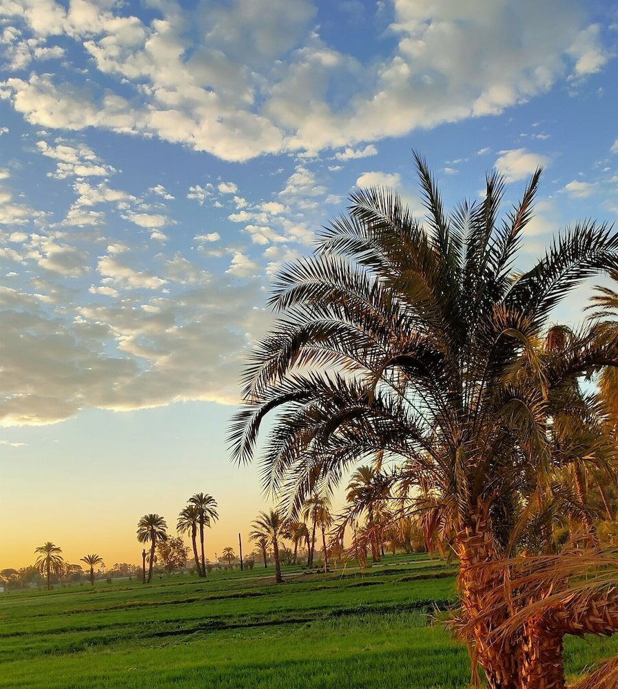 Фото Little Pharaoh