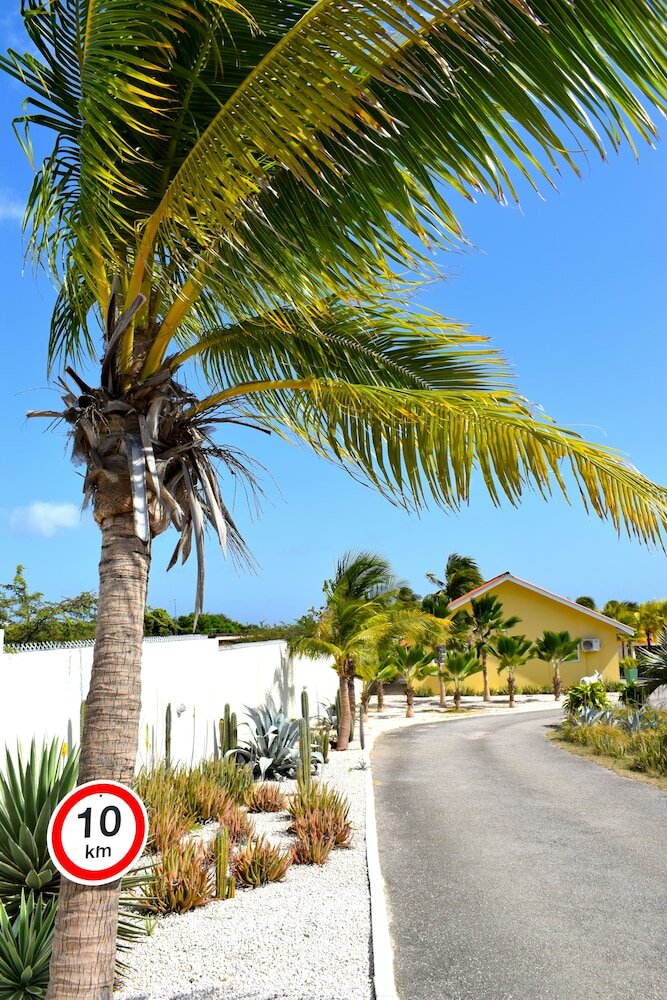 Фото ABC Resort Curaçao