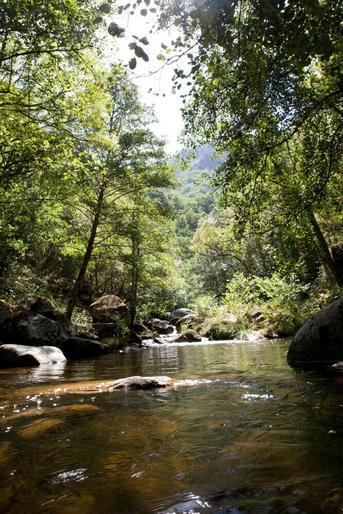 Фото Albergue A Fábrica da Luz - Hostel