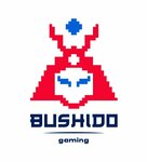 Bushido Gaming Malika (Adham Rahmat street, 8/2), computer club
