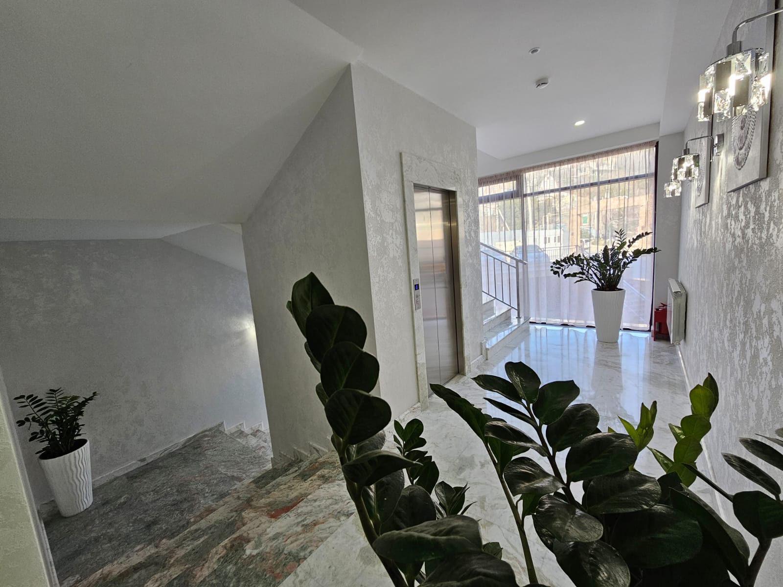 Фото Династия