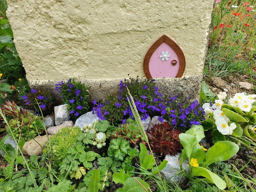 Фото Dartmoor Reach Alpaca Farm