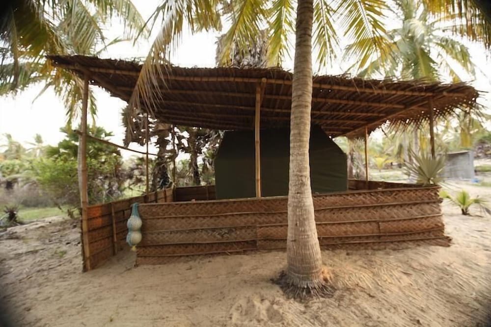 Фото Sun Burns Factory