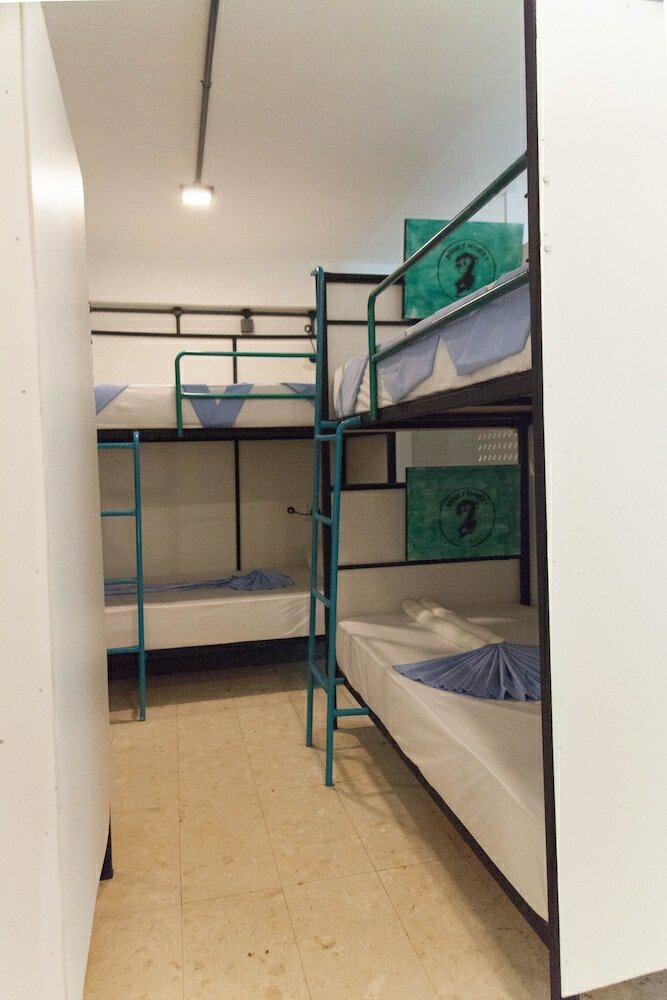 Фото Bunky Monkey - Hostel