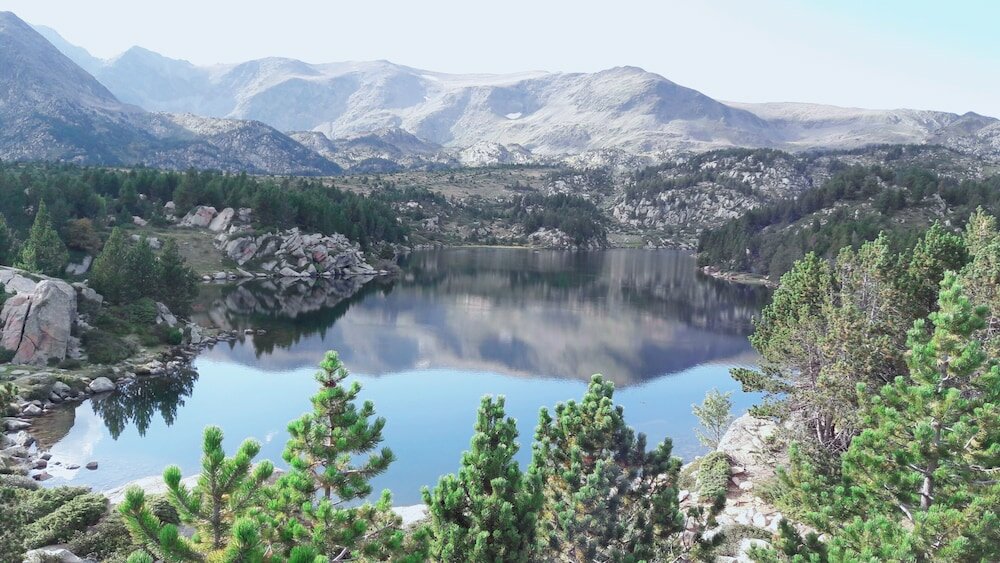 Фото Dali Hôtel - Restaurant