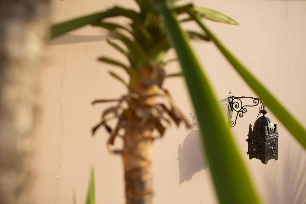 Фото Riad Abbassia