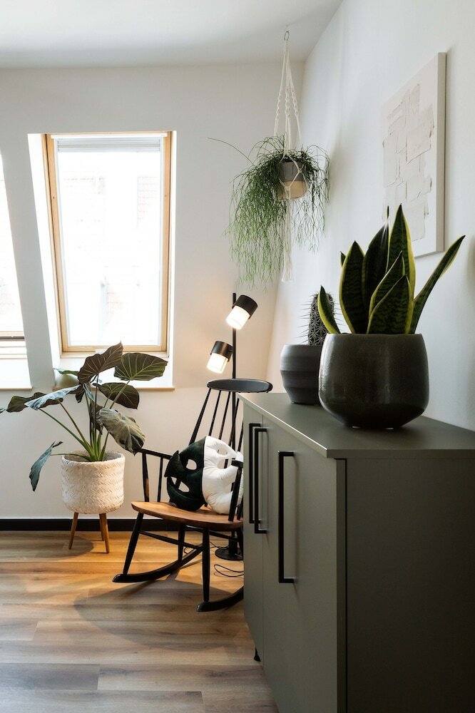 Фото Urban Jungle Apartments