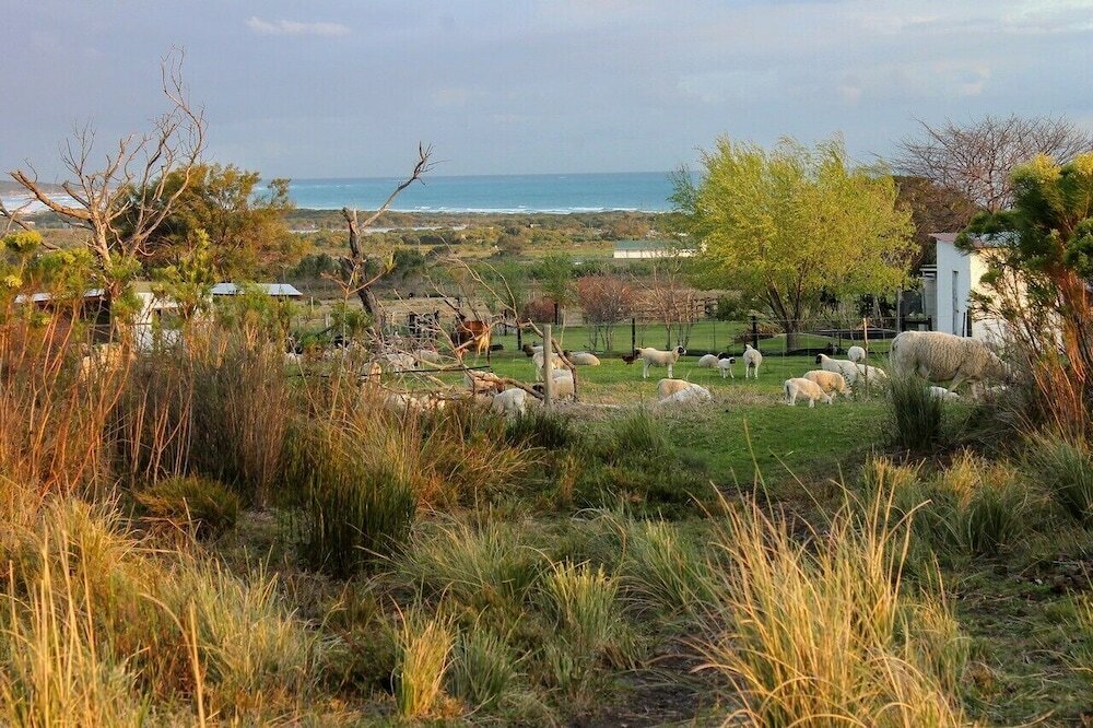 Фото Groeneweide