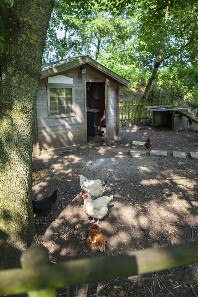 Фото Sure Hotel by Best Western Lille Tourcoing Ex Hotel Garden