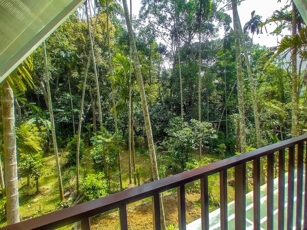 Фото Once in Ella