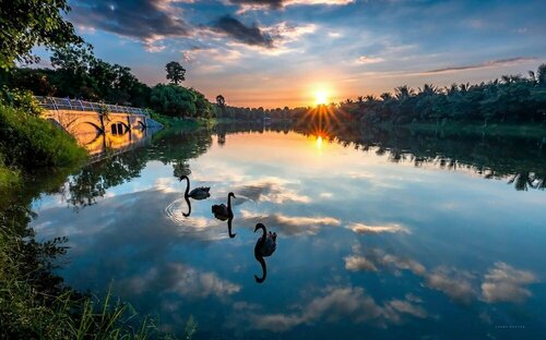 Гостиница Friendly House Qmp - Ecopark