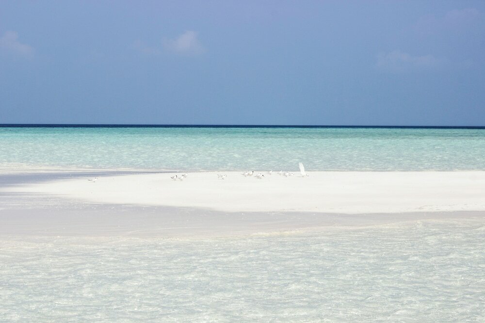 Фото Ahola Thoddoo