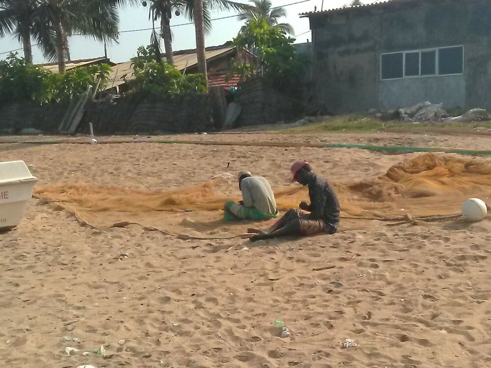 Фото Hotel Star White Negombo