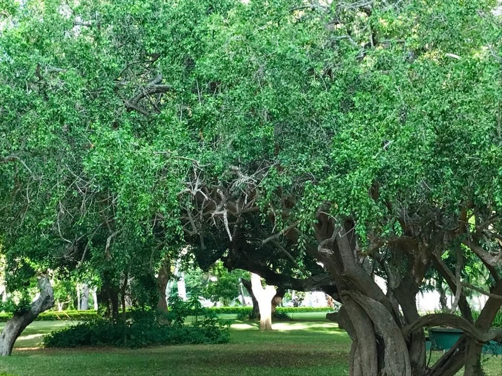 Фото Peacock Beach Resort & SPA