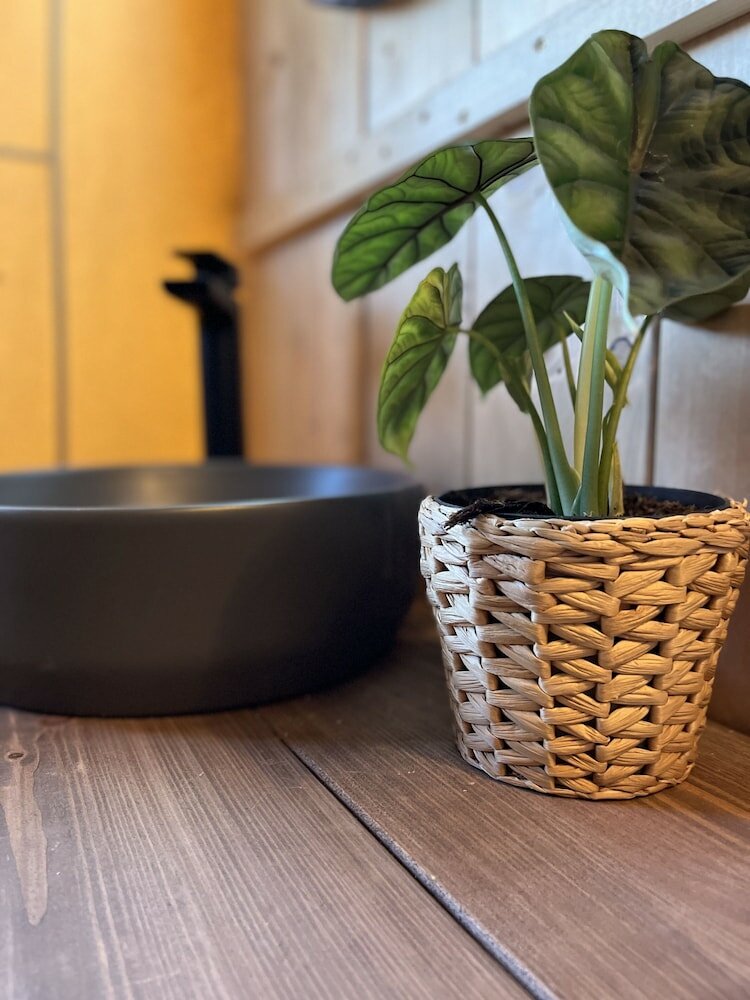 Фото Jungle Book Safari Tent