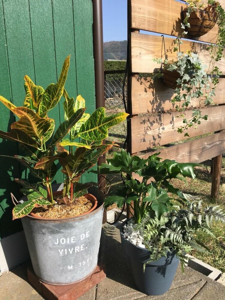 Фото Fuji Matsuyama Base