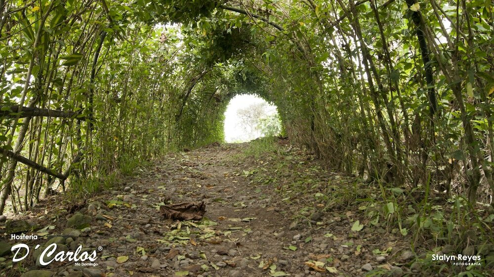 Фото Hostería D'Carlos