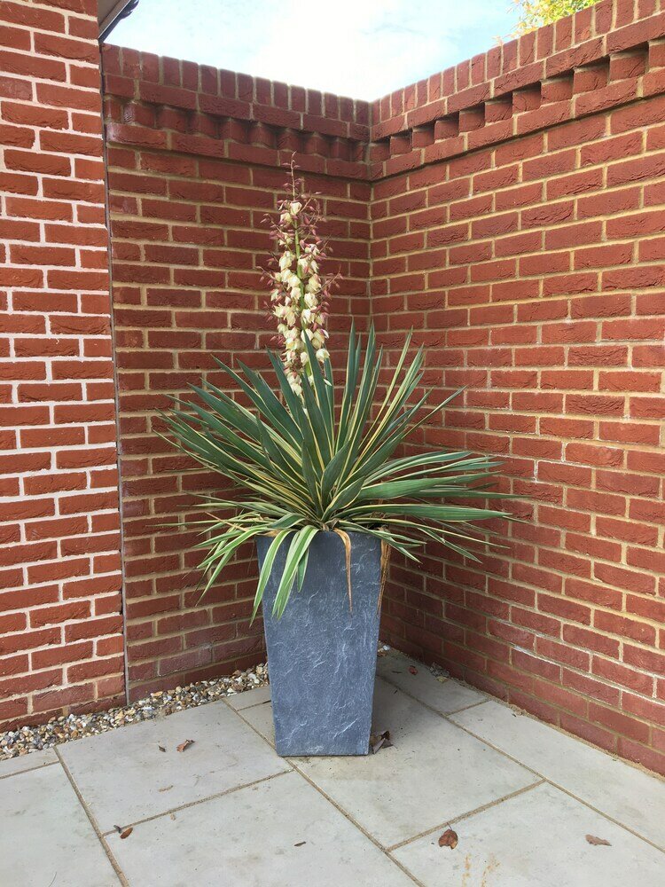 Фото Charming 1-bedroom Apartment Near South Downs