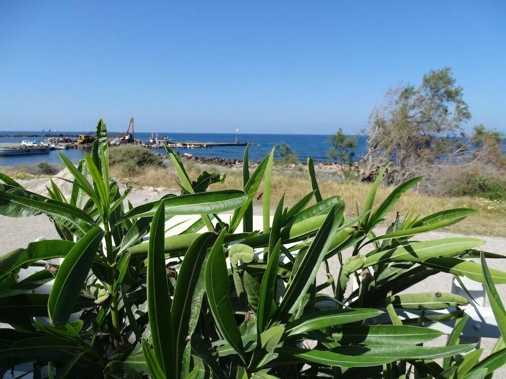 Фото Nama Beach House