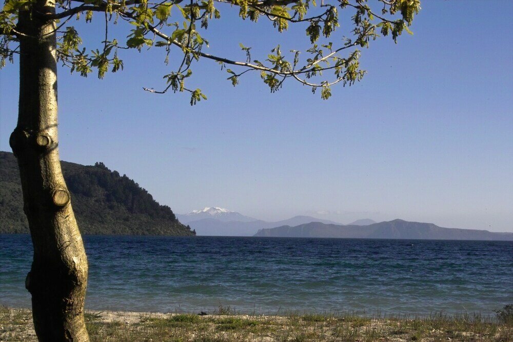 Фото Orchard View FarmStay Retreat