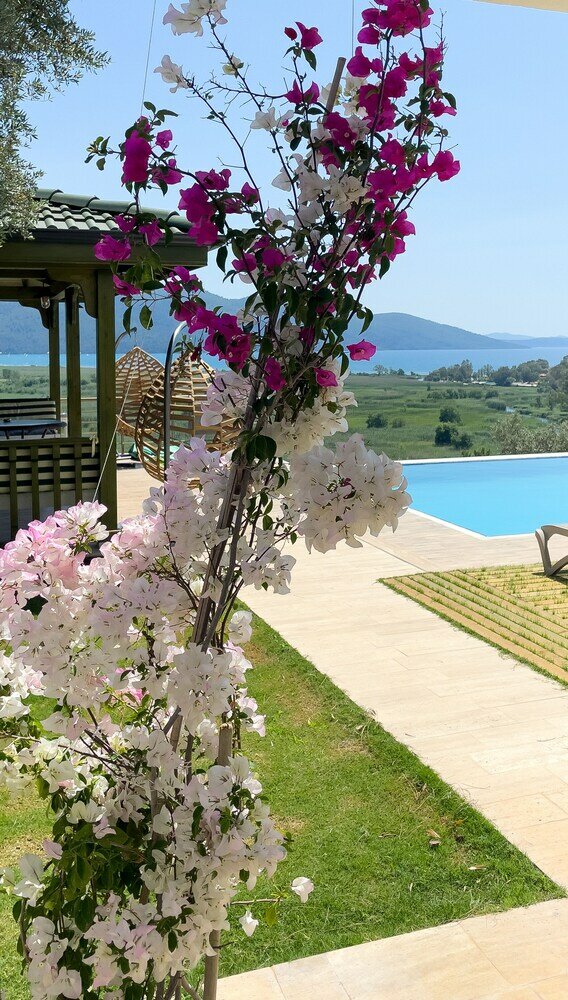 Фото Beacon Hill Suites