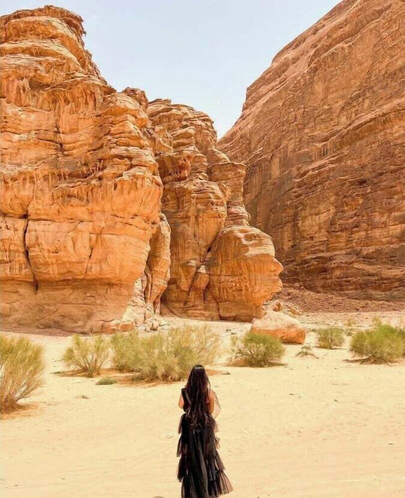 Фото Camp Emilia Rum