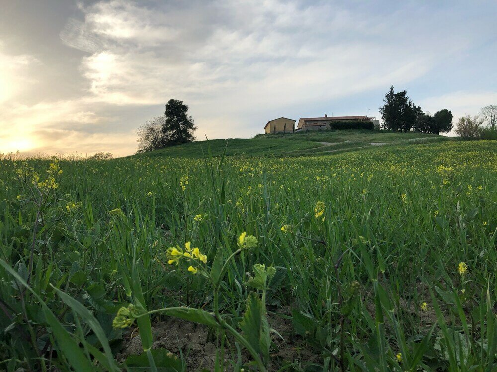 Фото Poggio alla Pietra 26