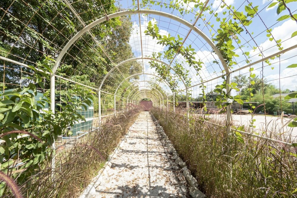 Фото Oyo 75378 Thawapee Resort