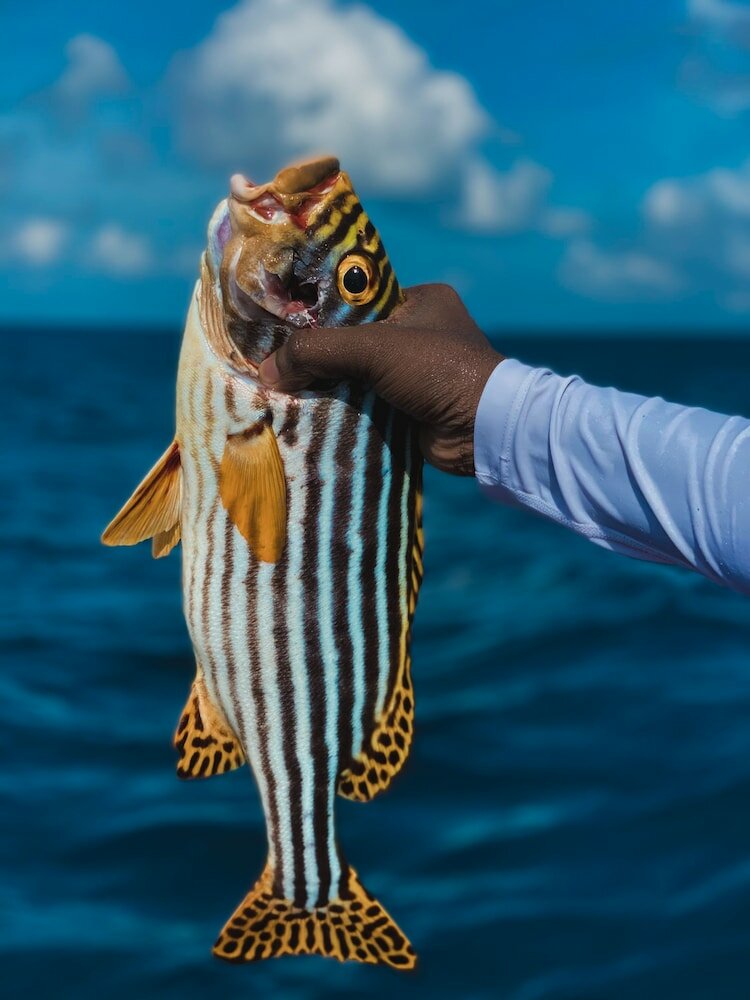 Фото Отель Perla Dhangethi