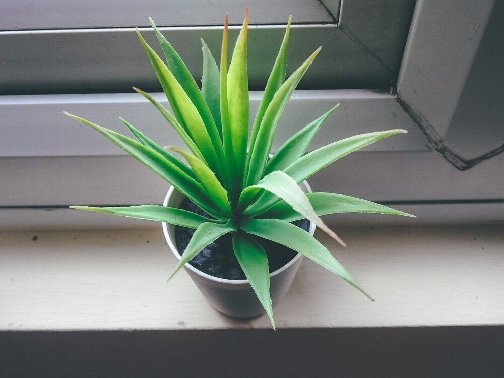 Фото Comfortable serviced flat in London City Centre