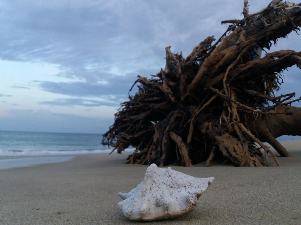 Фото Heaven in Satin Woods Rekawa