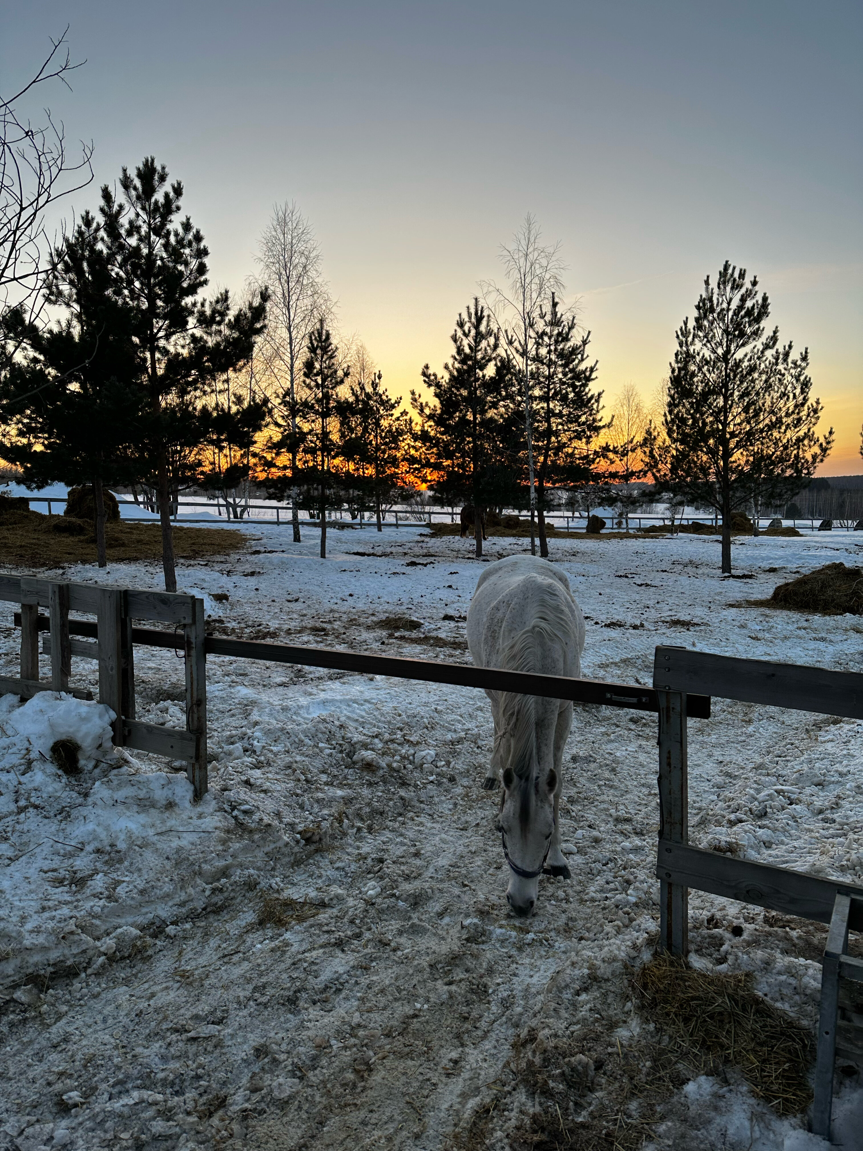 Фото Кольчуга