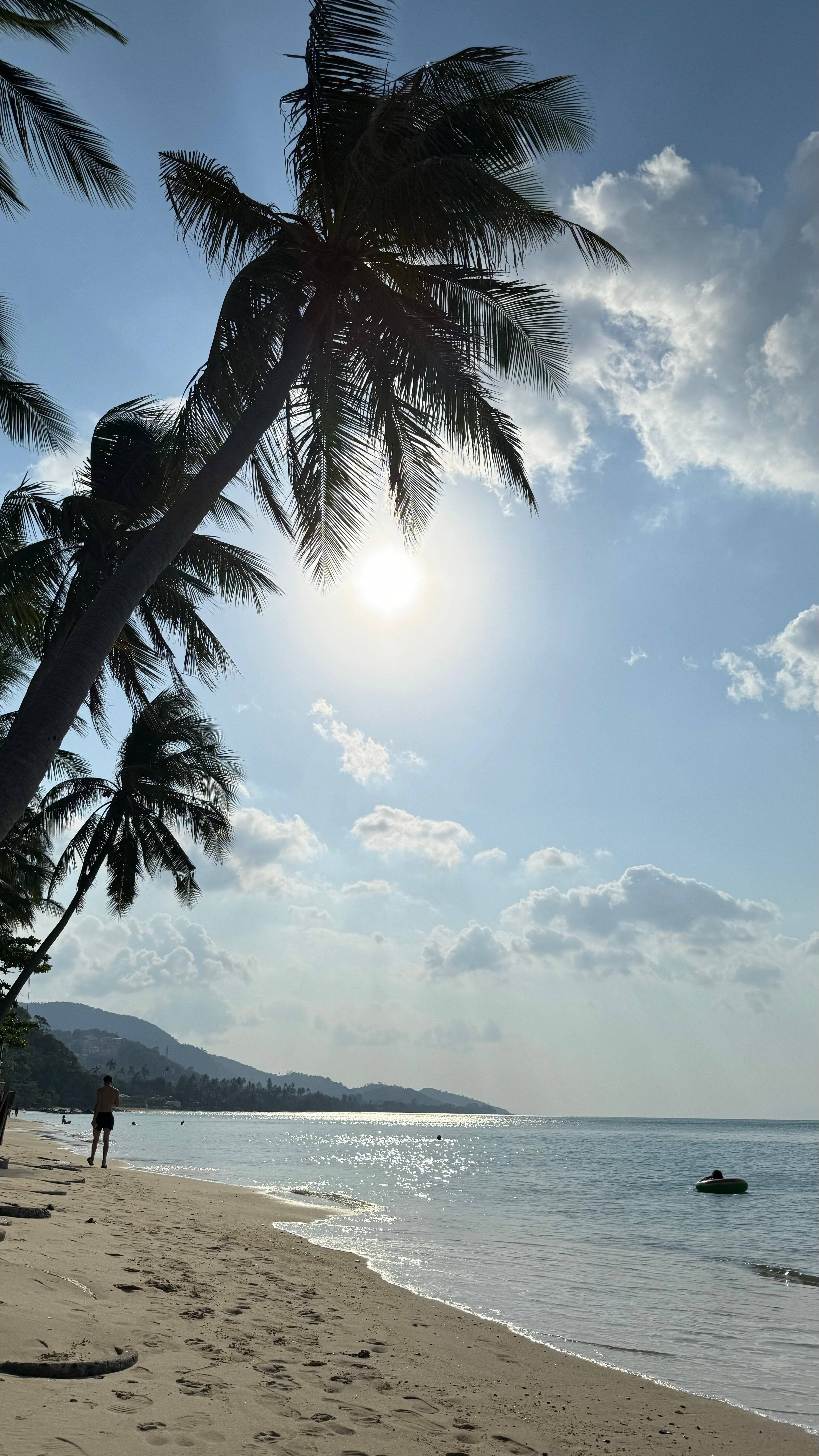 Фото Mimosa Resort & SPA