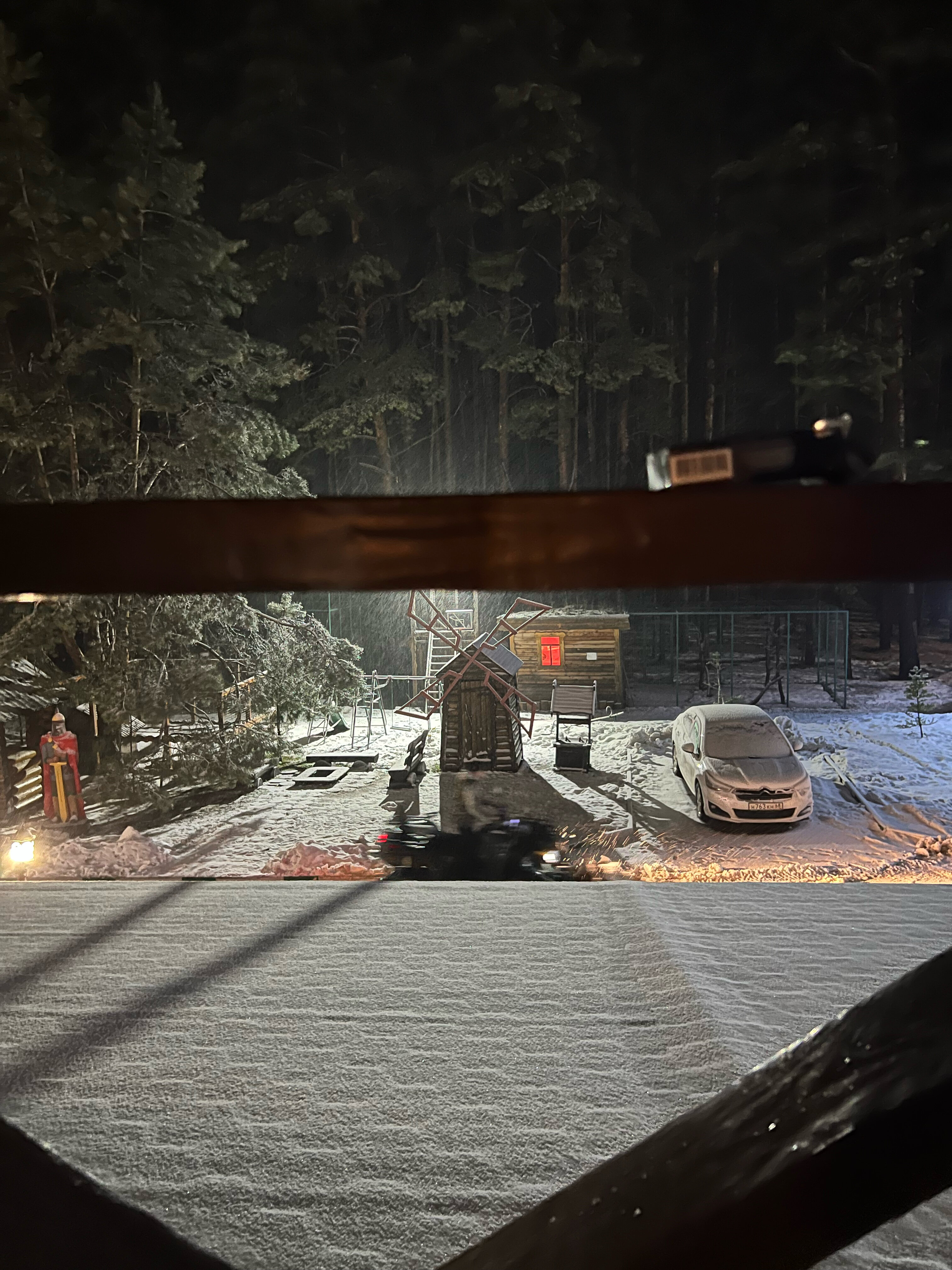 Фото Берёзка