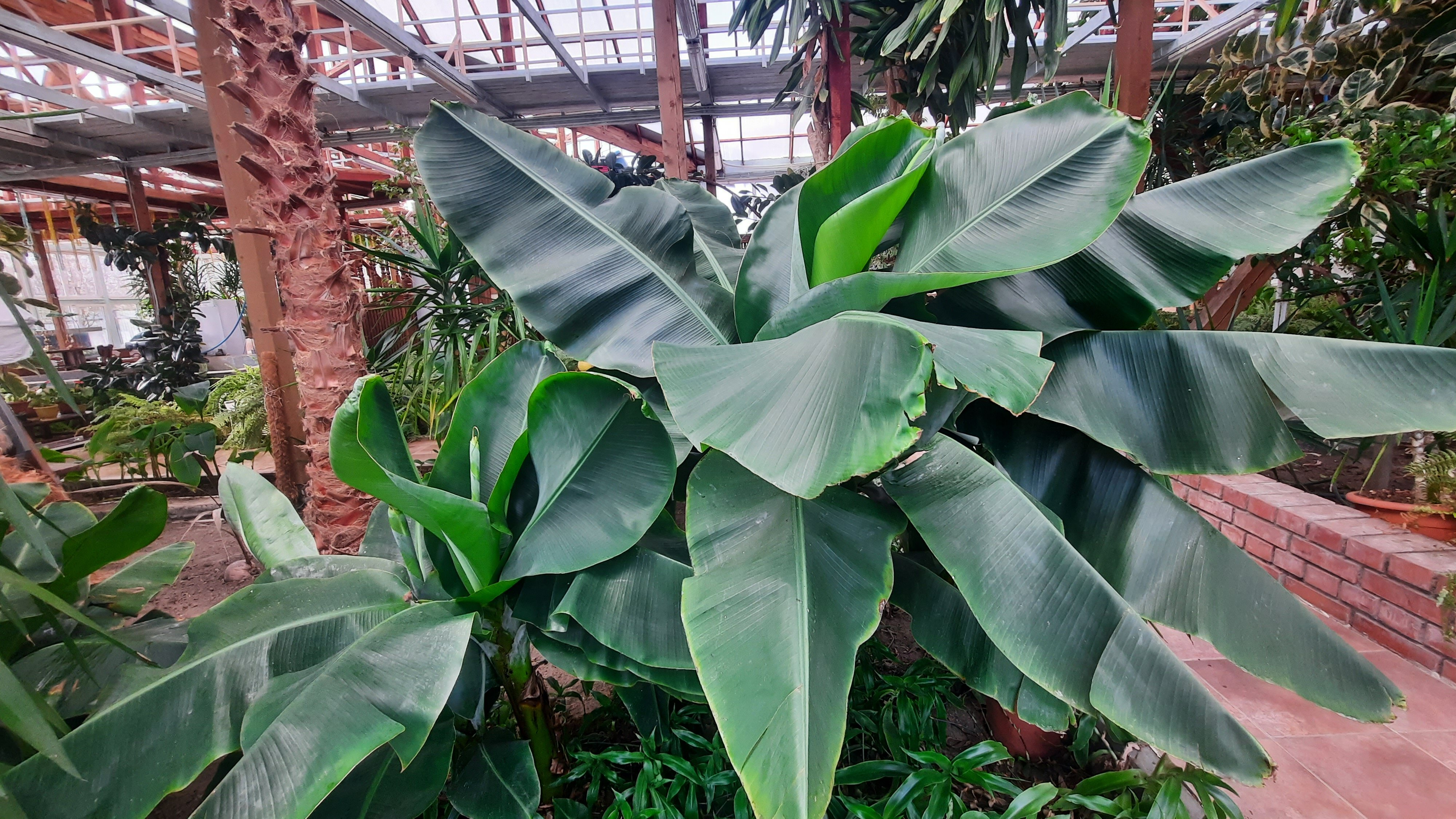 Фото Усадьба Абузерье