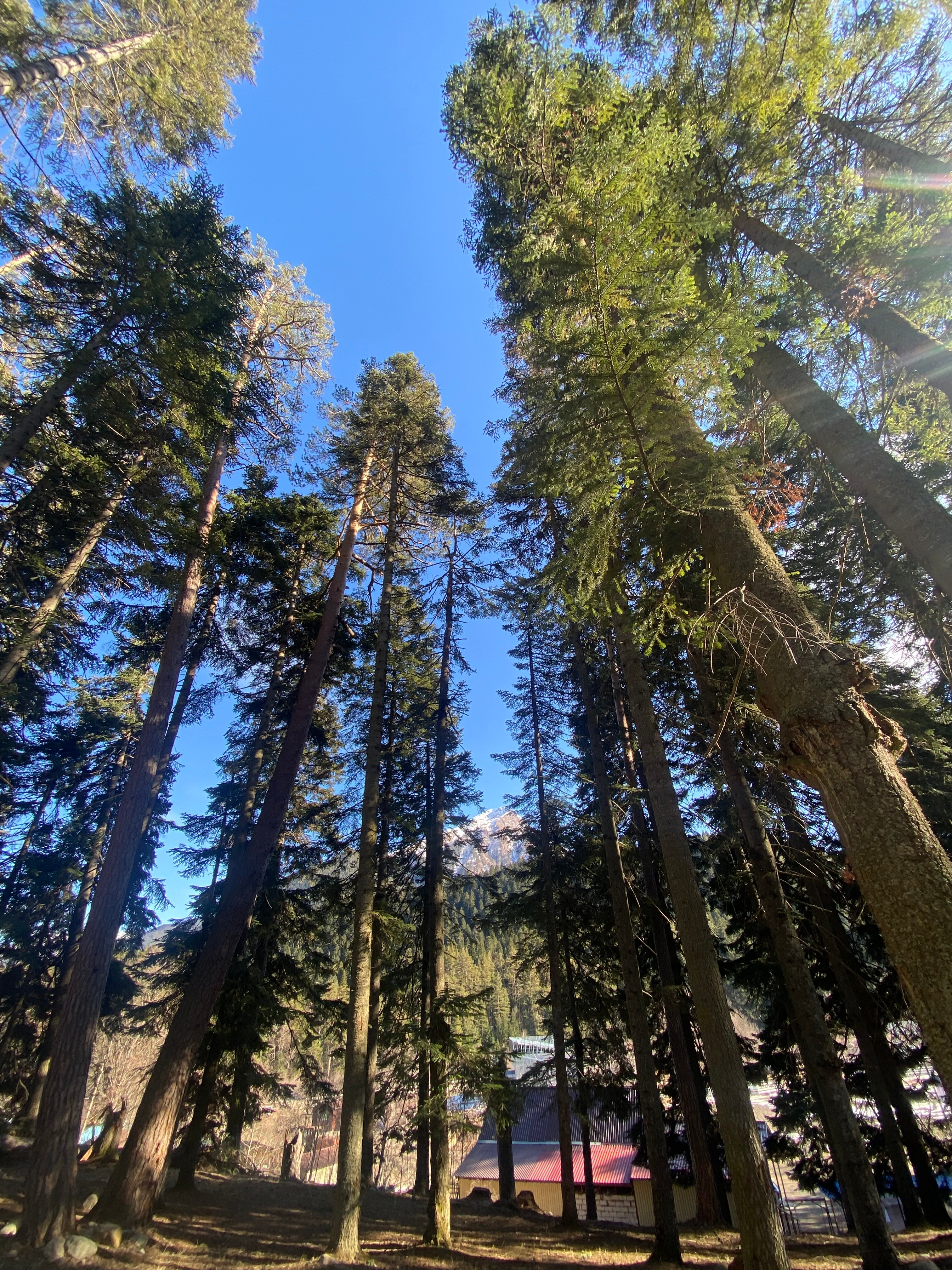 Фото Хижина