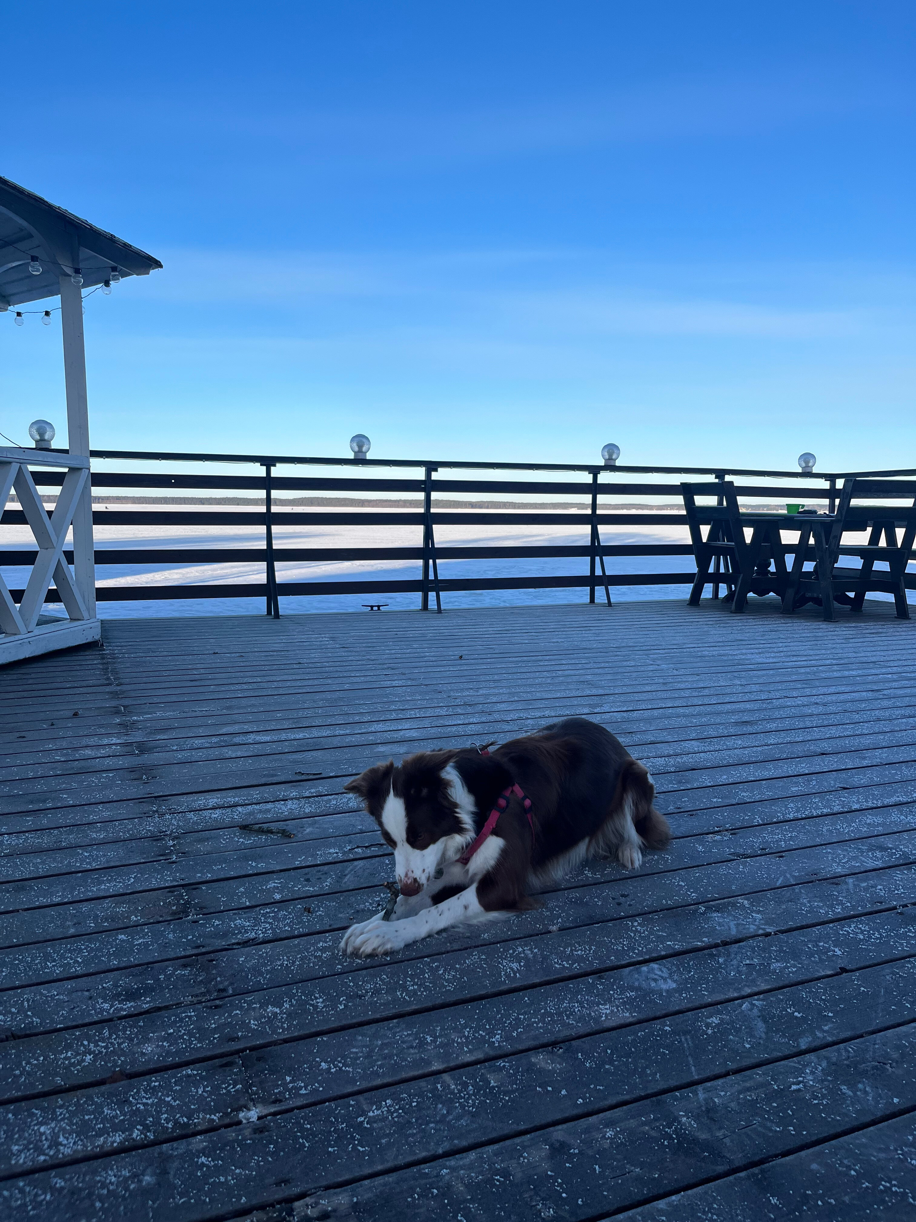 Фото Домики у Пляжа