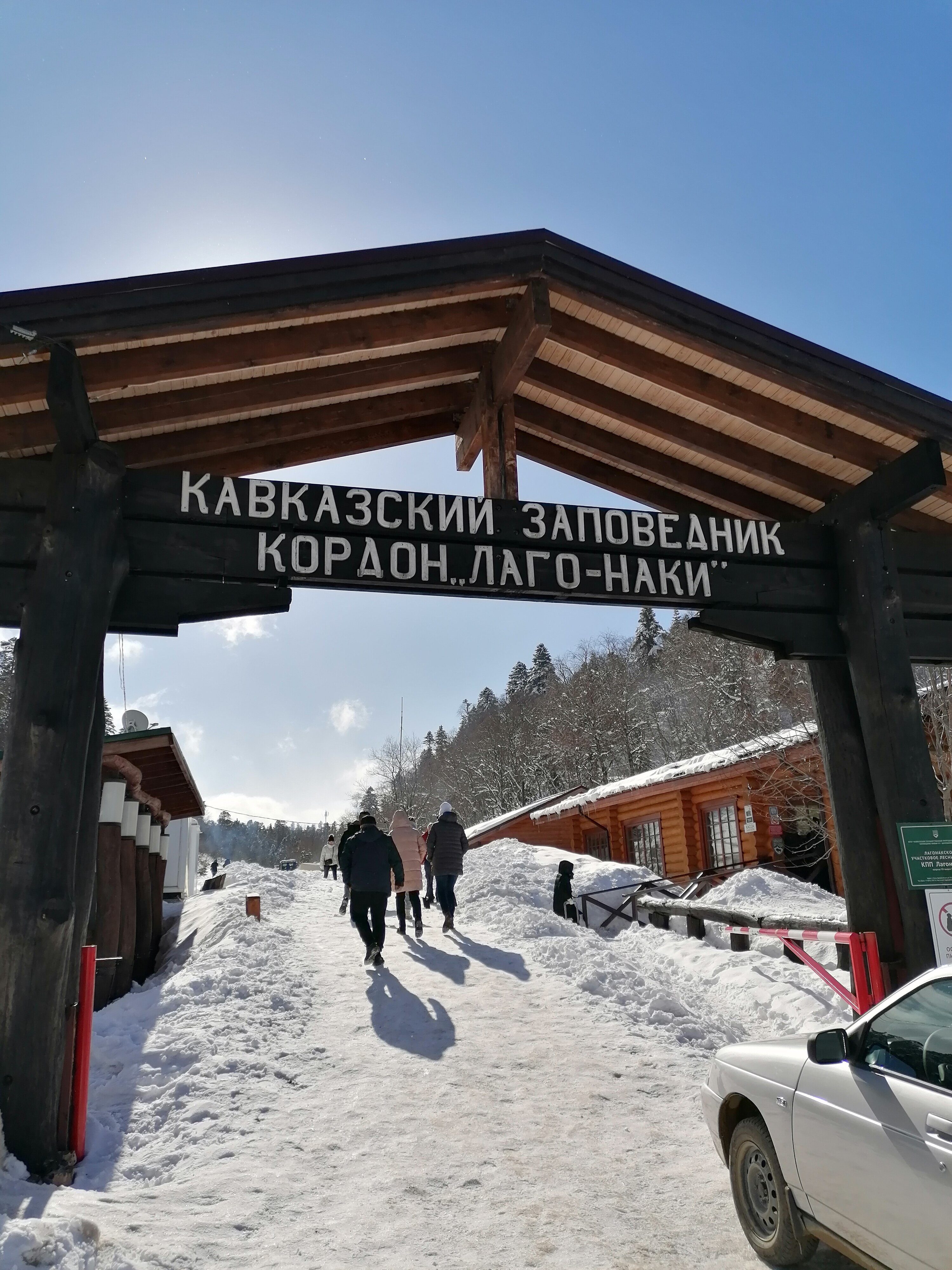 Фото Аммонит